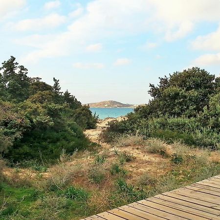 Orion Naxos Hotel Agia Anna  ภายนอก รูปภาพ