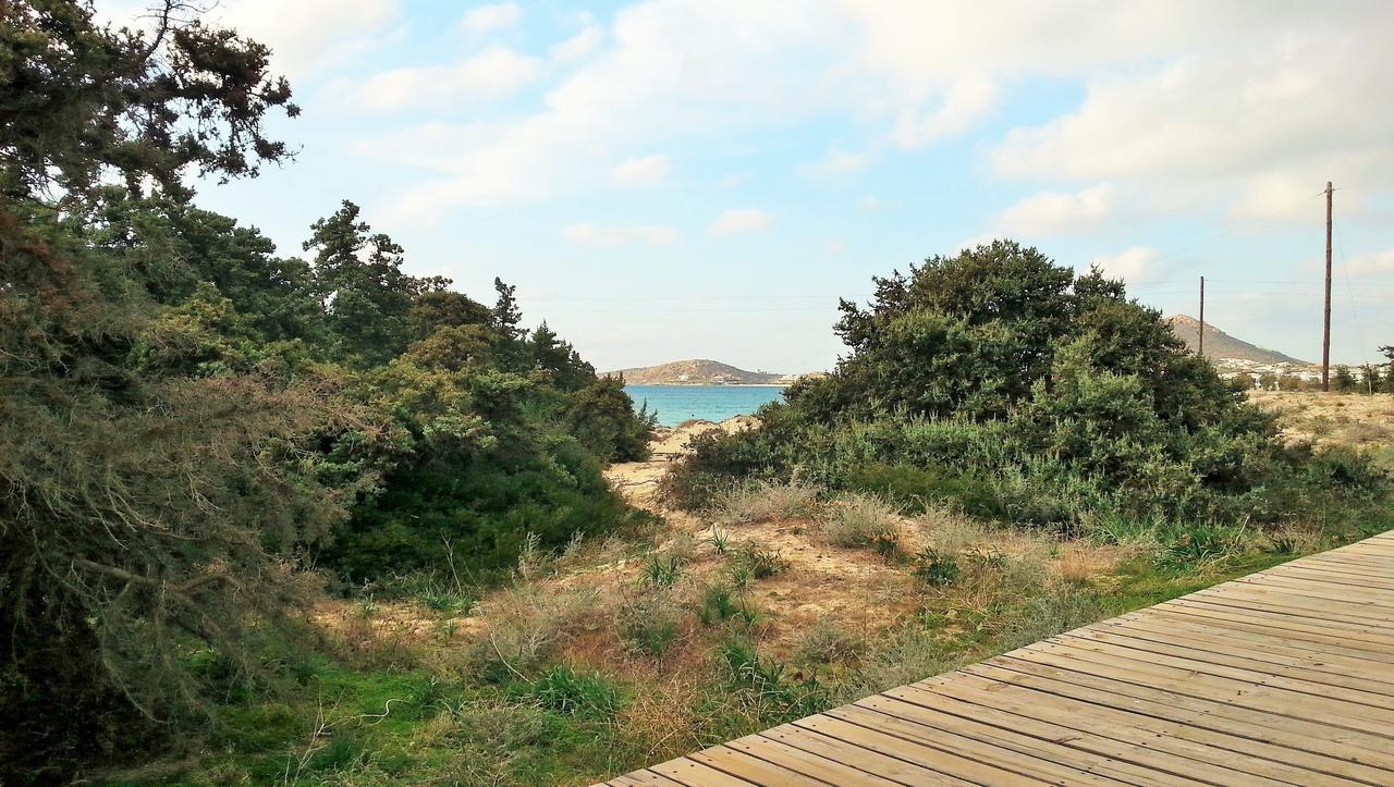 Orion Naxos Hotel Agia Anna  ภายนอก รูปภาพ
